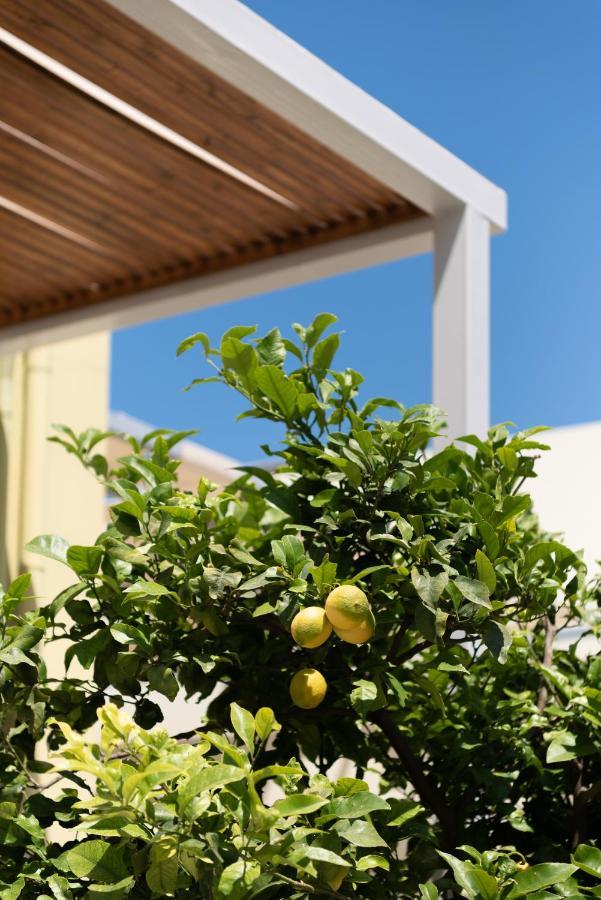 Mela Villas Maroulás エクステリア 写真
